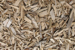 biomass boilers Marden Thorn